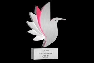 10 Compelling Reasons to Participate in Eventex Awards