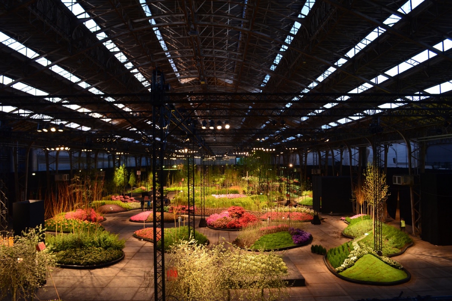 Les Floralies récoltent le bronze à Saint-Pétersbourg !