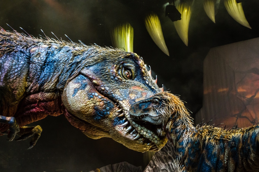 Verras uw team én hun kinderen met de grootste dinosaurusshow ter wereld
