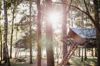 Les Tree Tents du Domaine des Grottes de Han déjà presque « sold out » pour cet été