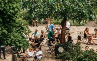 ZomerSerre à Anvers : un événement outdoor sympa pour votre entreprise !