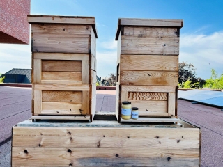 Le Bruges Meeting &amp; Convention Centre fabrique son propre miel BeeMCC sur sa toiture végétale