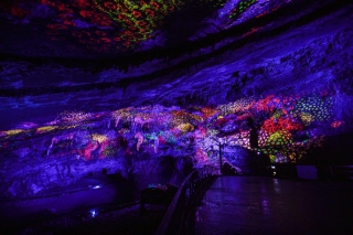Le spectacle “Origin” des Grottes de Han nominés aux Best Event Awards 2019 !