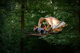 Een idyllische nacht in het hart van het Wildpark