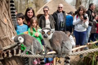 Organiseer een onvergetelijke familiedag, dichter bij de dieren in Planckendael