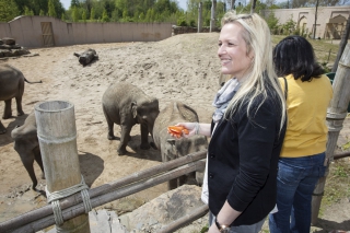 A la rencontre des animaux avec vos clients ou vos relations !