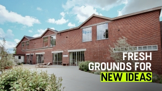 Nieuwe thuis voor New Balls Please